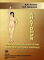 Анатомия лимфоидной системы и путей оттока лимфы - Козлов В.И. - Учебное пособие Скачать бесплатно учебное пособие «Анатомия лимфоидной системы и путей оттока лимфы», Козлов В.И.
